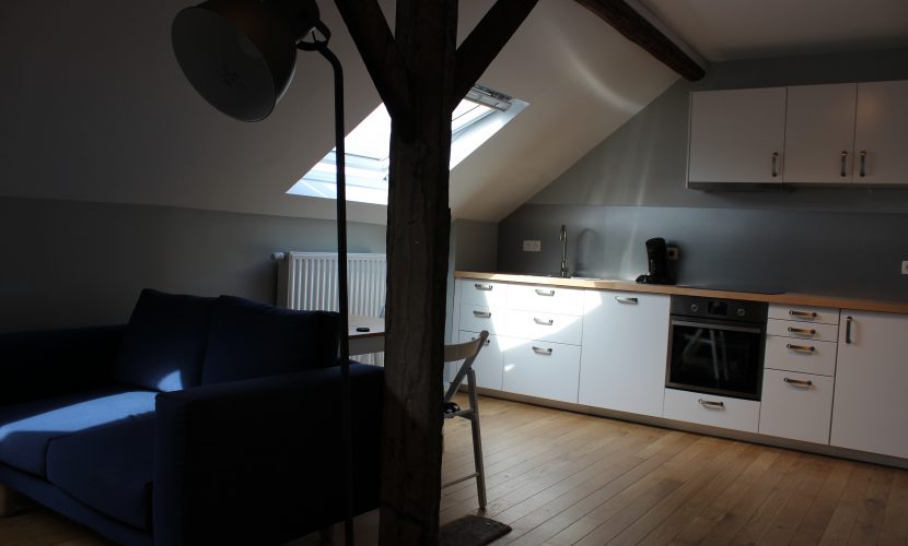 cuisine equipee dans un logement en coliving