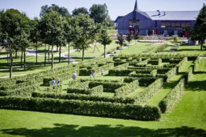 labyrinthe champs de mais