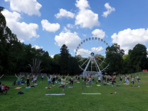 parc-Kinnekswiss